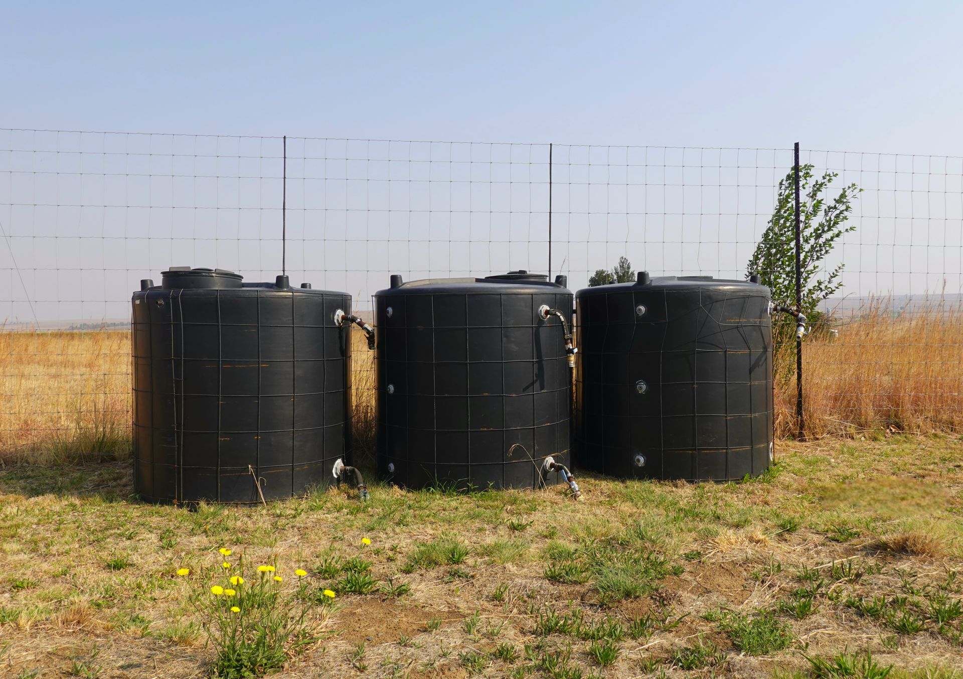 Environmental landscape and sustainable agriculture reflecting Malawi's clean energy transition