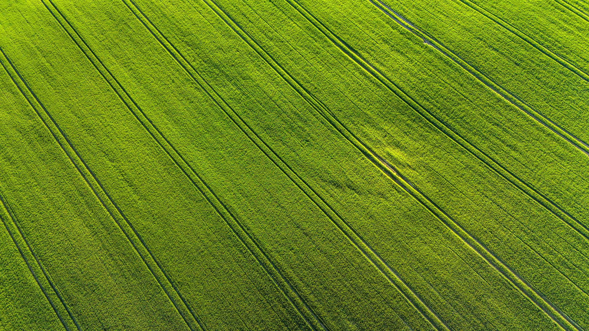 Farm Systems - AGRICULTURAL clean energy solution