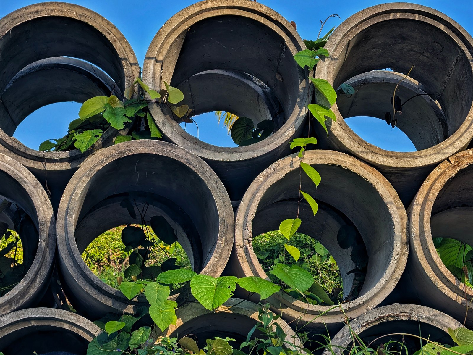 Stacked precast concrete rings used to build biodigester septic chambers